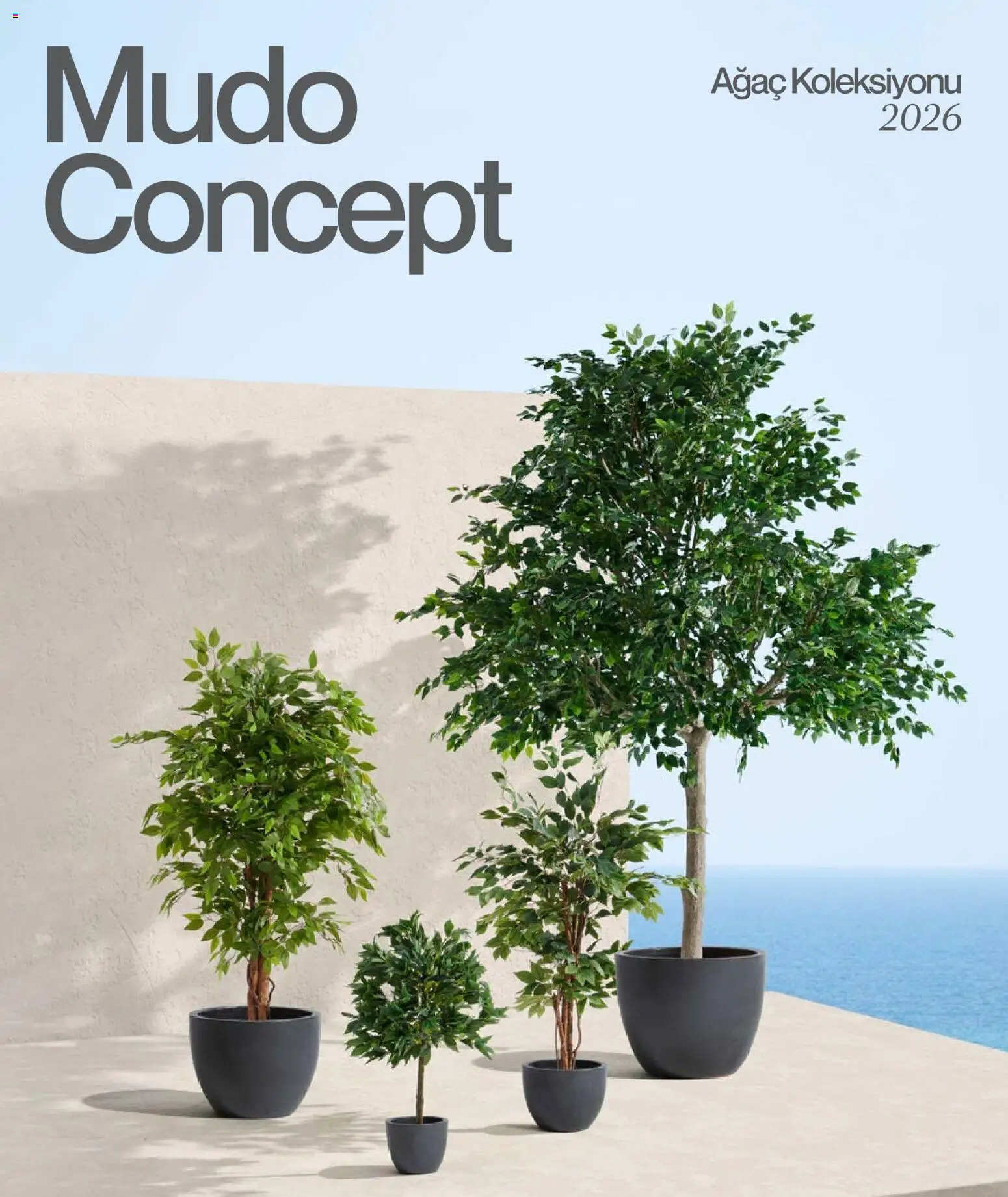 Mudo Katalog Ağaç 2026 01.01.2026 - Broşürünün önizlemesi