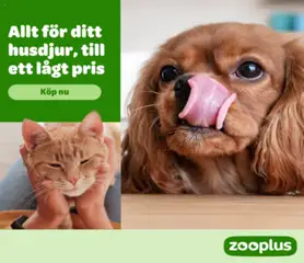 Förhandsgranska reklamblad Zooplus från butik Erbjudanden gäller från 23/04/2026