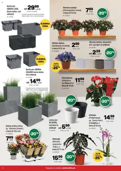 Predogled kataloga iz trgovine Kalia veljaven od 20.10.2025 | Stran: 6