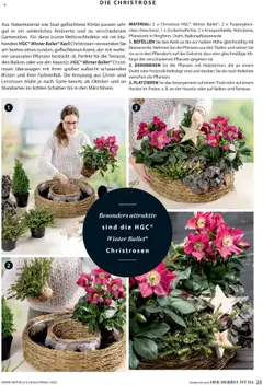 Vorschau der Angebote: Dehner Flugblatt gültig ab 10.10.2025 | Seite: 25