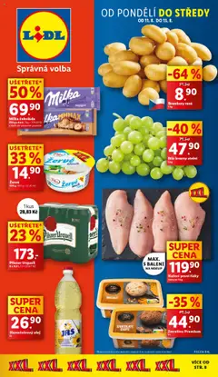 Náhled nabídky: Lidl Leták platný od 11.08.2025