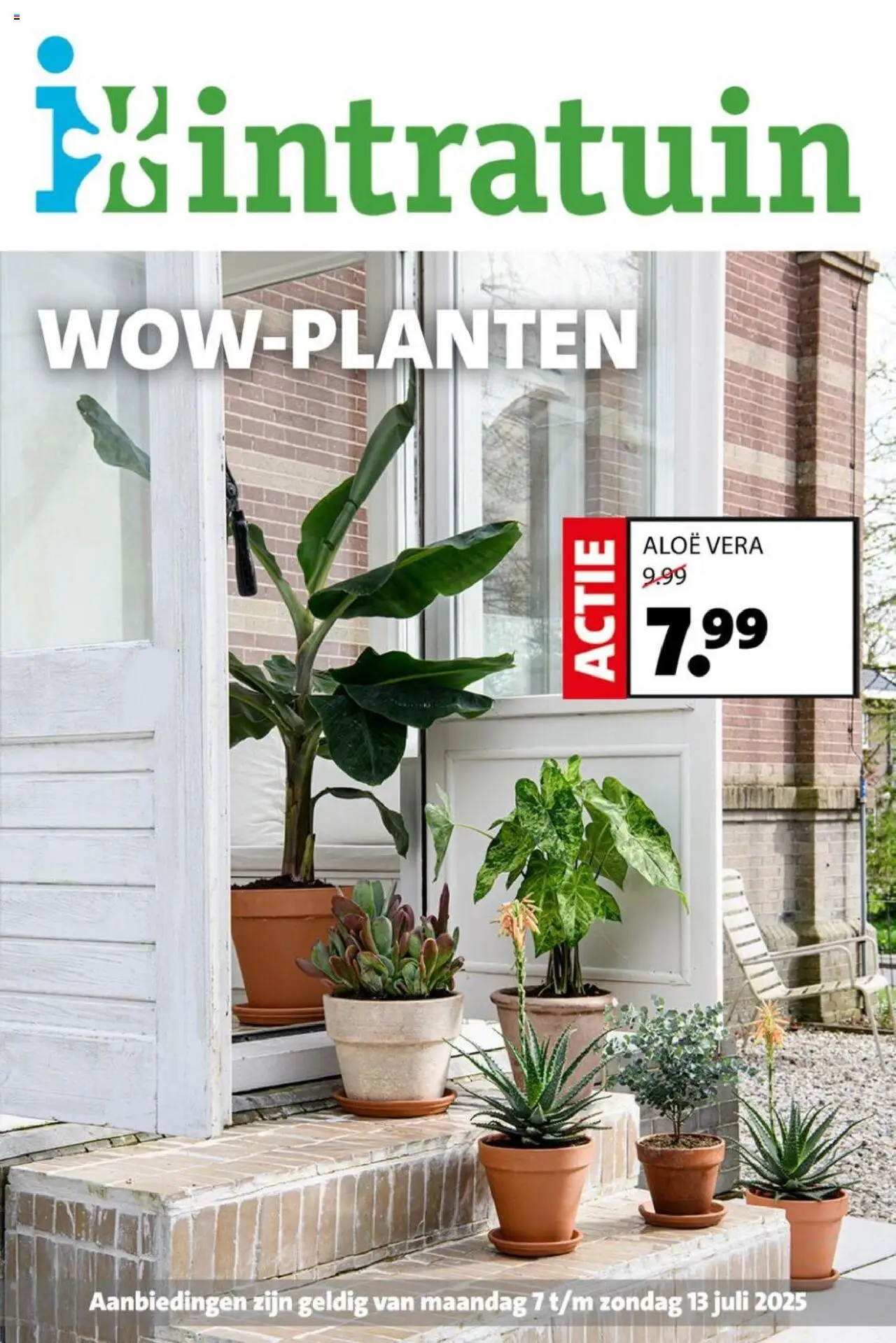 Intratuin shop Folder geldig vanaf 07-07-2025 - Paginanummer 1 - Aloë Vera