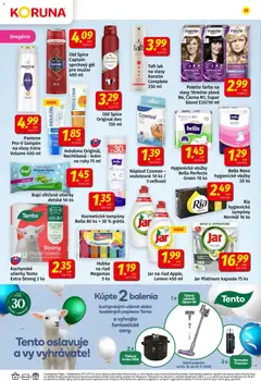 Náhľad Koruna letáku platného od 07.11.2025 | Strana: 22