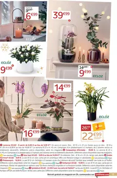 Prévisualisation de Catalogue du magasin Jardiland formulaire valide 19/11/2025 | Page: 13