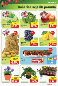 Pregled letka Katalog trgovine Plodine vrijedi od 01.10.2025 | Stranica: 17