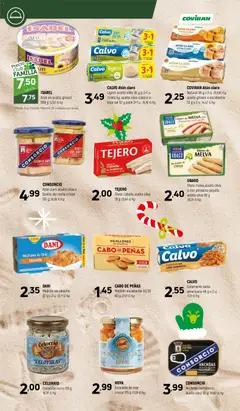 Vista previa del folleto de la tienda Coviran válido desde el 02/12/2025 | Página: 12