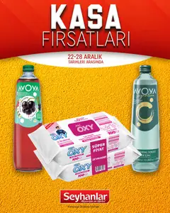 Seyhanlar Market Kasa Fırsatları 22.12.2025 - Broşürünün önizlemesi