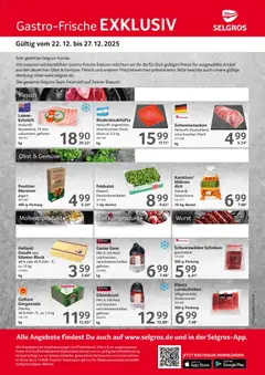 Vorschau von dem Prospekt des Geschäftes Selgros, gültig ab dem 22.12.2025