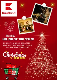 Vorschau der Angebote: Kaufland Flugblatt gültig ab 11.12.2025