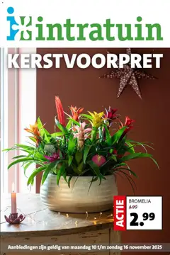 Voorbeeld van Folder van winkel Intratuin geldig vanaf 10-11-2025