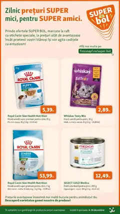 Previzualizarea de cataloage: Fressnapf Catalog nou valabil de la 04.12.2025 | Pagina: 4