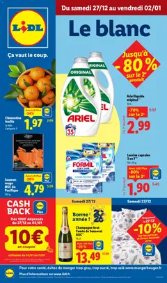 Prévisualisation de Catalogue de la semaine 52 du magasin LIDL formulaire valide 27/12/2025