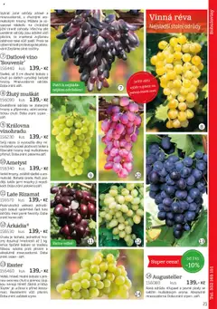 Náhled nabídky: Starkl Katalog podzim 2025 platný od 01.08.2025 | Strana: 21