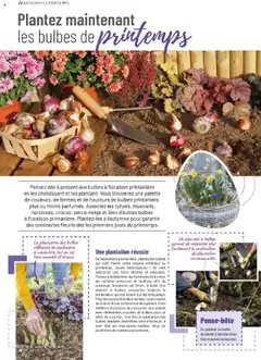 Prévisualisation de Catalogue du magasin VillaVerde formulaire valide 19/09/2025 | Page: 16
