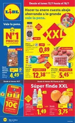 Vista previa del folleto de la tienda Lidl válido desde el 12/01/2026 