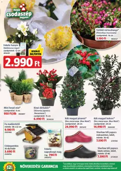 Bauhaus - Akciós újság Bauhaus megtekintése, amely érvényes 2025.12.04.-től | Oldal: 5