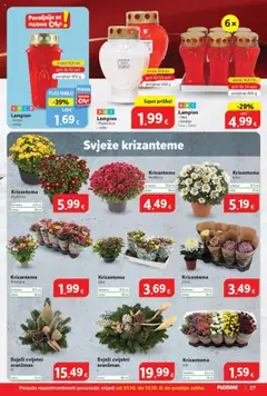 Pregled letka Katalog trgovine Plodine vrijedi od 01.10.2025 | Stranica: 37