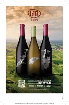 Prévisualisation de Catalogue du magasin bi1 formulaire valide 12/11/2025 | Page: 3