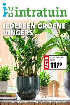 Voorbeeld van Folder van winkel Intratuin geldig vanaf 11-08-2025