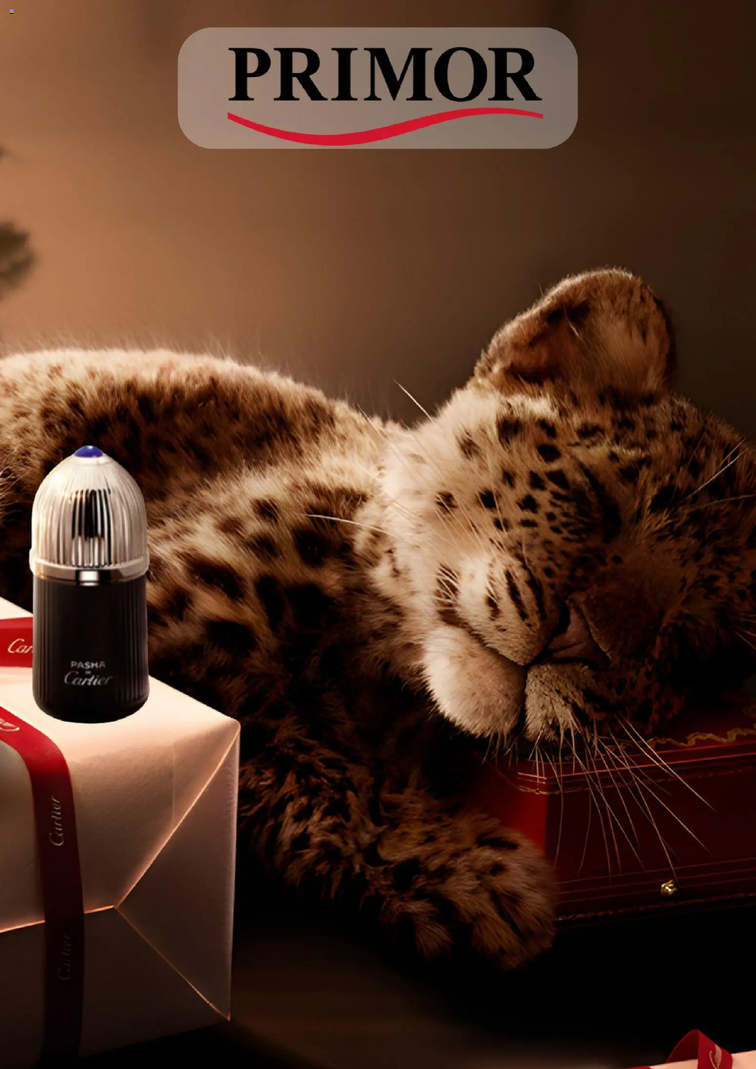 Vista previa del folleto de la tienda Primor válido desde el 11/12/2025 