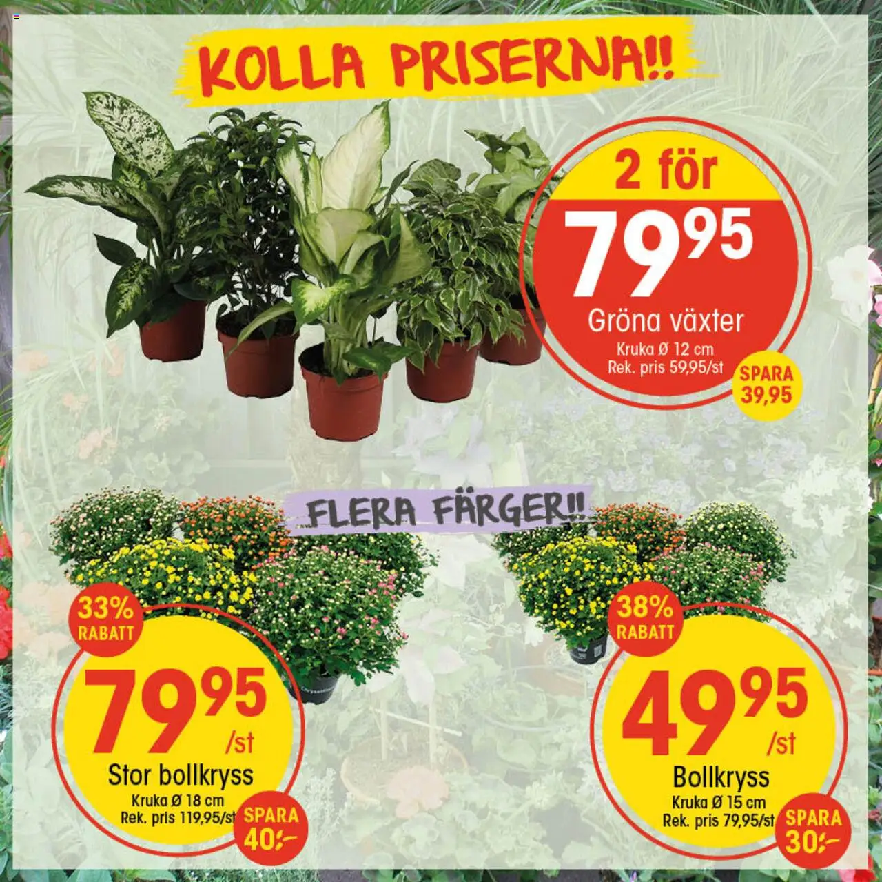 Aktuella reklamblad EKO är giltig 11/08 2025 > Veckans Erbjudanden gäller från 11/08/2025 till 17/08/2025 sidnummer 1
