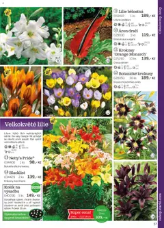 Náhled nabídky: Starkl Katalog podzim 2025 platný od 01.08.2025 | Strana: 57