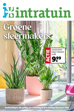 Voorbeeld van Folder van winkel Intratuin geldig vanaf 12-01-2026