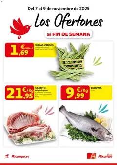 Vista previa del folleto de la tienda Alcampo válido desde el 07/11/2025 