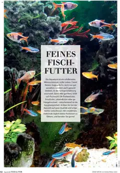 Vorschau der Angebote: Dehner Flugblatt gültig ab 10.10.2025 | Seite: 92