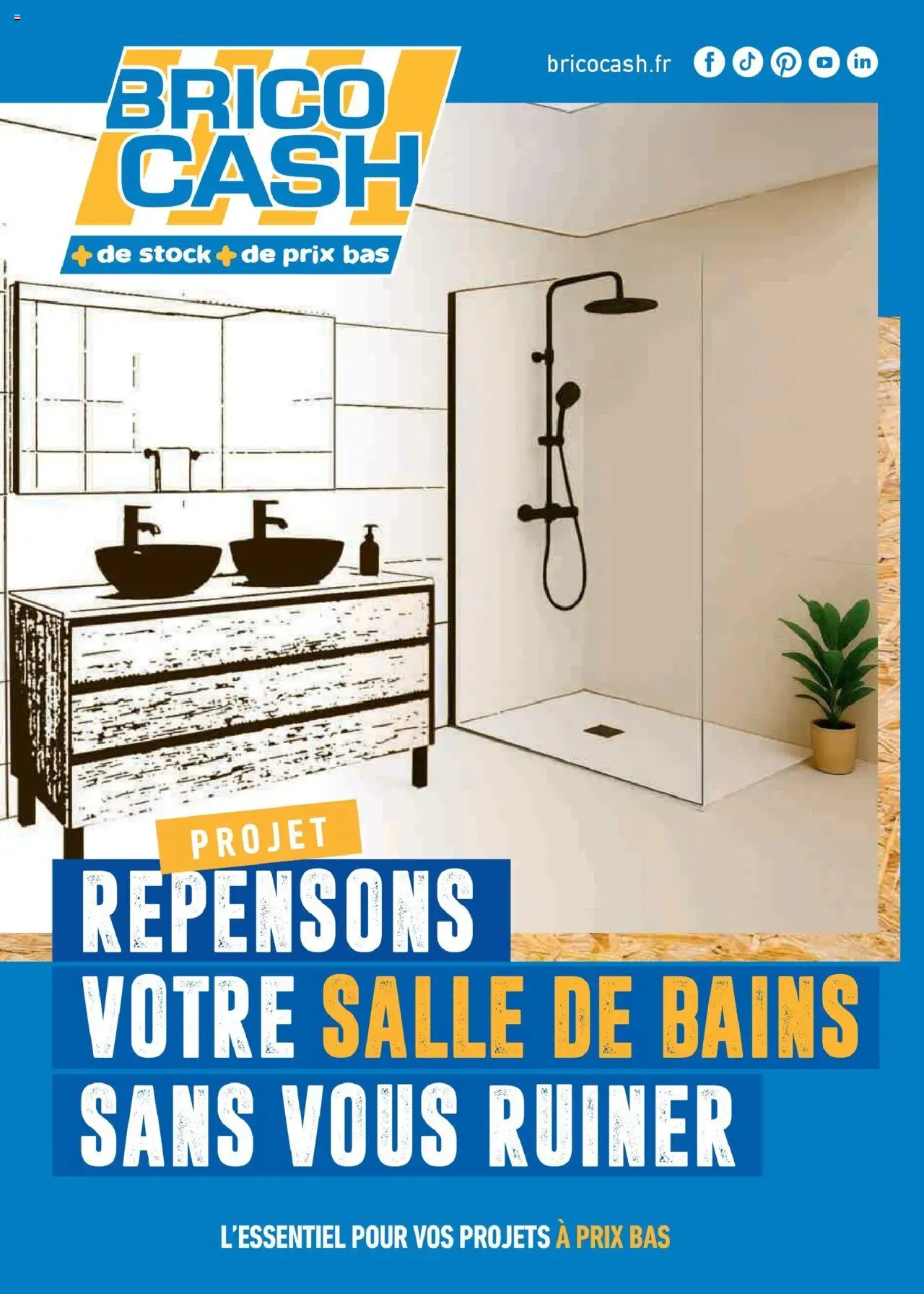 Prévisualisation de Repensons votre salle de bains sans vous ruiner du magasin Brico Cash formulaire valide 02/10/2025