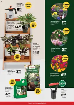 Predogled kataloga iz trgovine Kalia veljaven od 20.10.2025 | Stran: 7