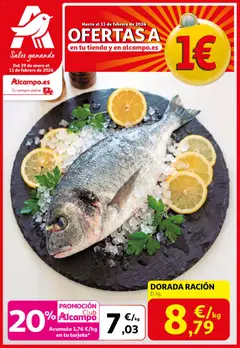 Vista previa del folleto de la tienda Alcampo válido desde el 29/01/2026 