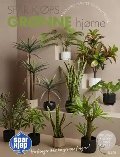 Forhåndsvis Grønne planter fra butikk Spar Kjøp gyldig fra 25/08/2025