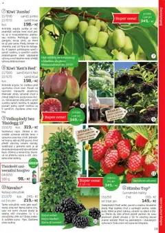 Náhled nabídky: Starkl Katalog podzim 2025 platný od 01.08.2025 | Strana: 19