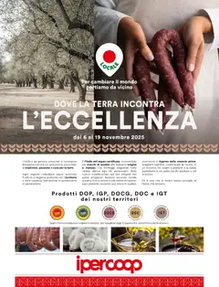 Anteprima dell'opuscolo Volantino L'Eccellenza Bari dal negozio Ipercoop valido da 06/11/2025