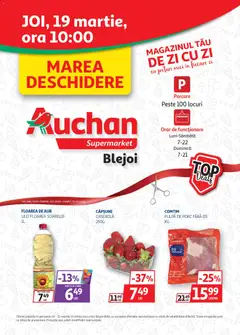 Previzualizarea de cataloage: Auchan Auchan Catalog Blejoi valabil de la 19.03.2026