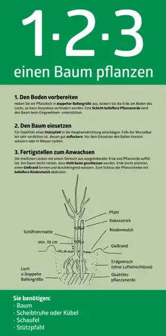 Vorschau der Angebote: bellaflora 1-2-3 einen Baum pflanzen gültig ab 13.02.2023
