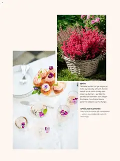 Forhåndsvis Kundeavis fra butikk Plantasjen gyldig fra 25/07/2025 | Side: 50