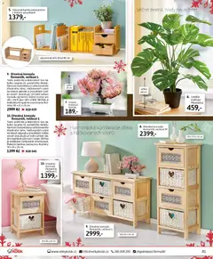 Náhled nabídky: Velký Košík Katalog listopad 2025 platný od 01.11.2025 | Strana: 81