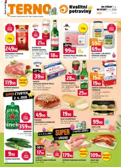 Náhled nabídky: Terno Terno leták - Tábor platný od 01.04.2026