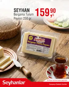 Seyhanlar Market Seyhanlar Market İndirim 13.04.2026 - Broşürünün önizlemesi