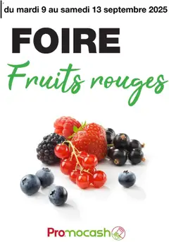 Prévisualisation de Foire fruits rouges du magasin Promocash formulaire valide 09/09/2025