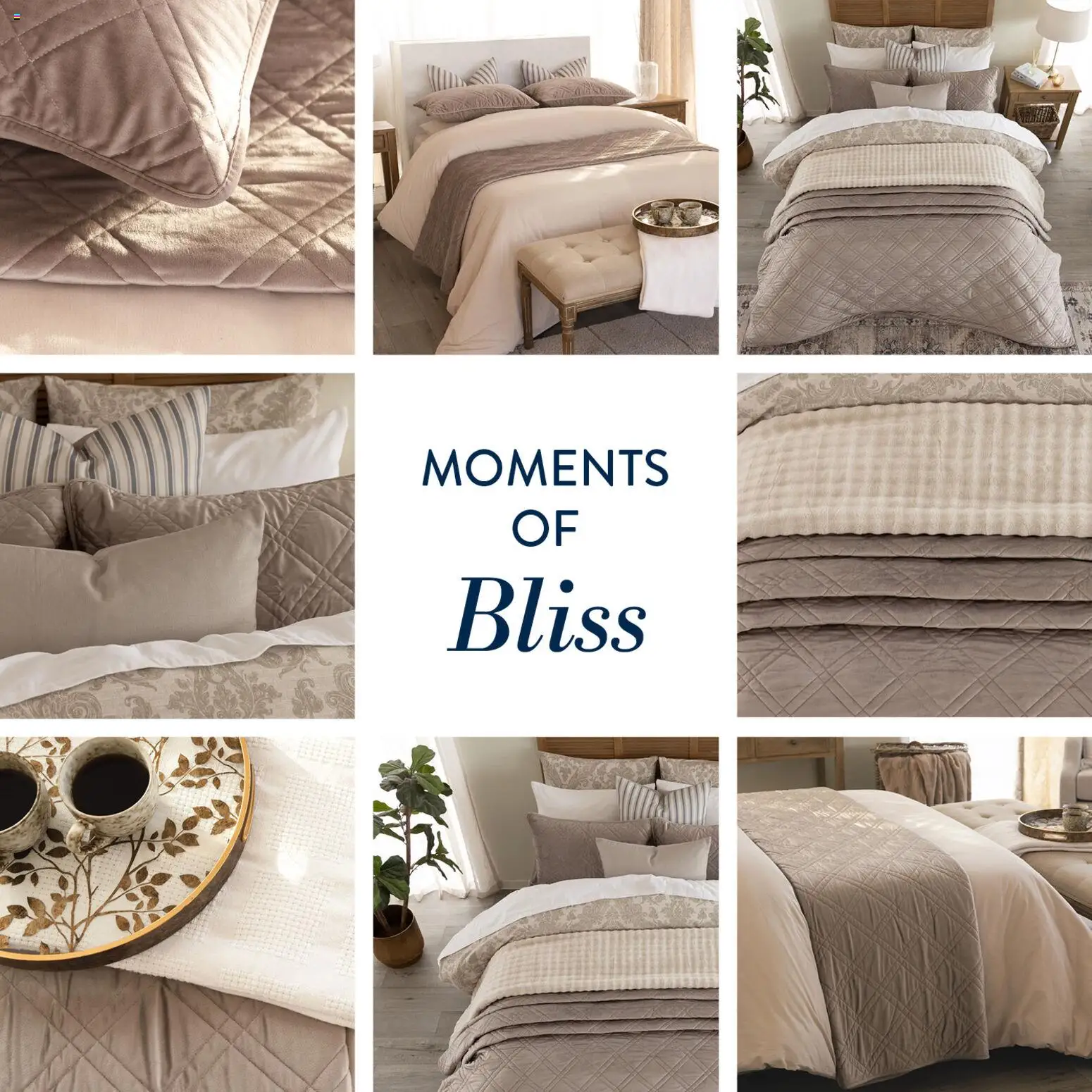 Preview of Volpes flyer valid from 23/04/2026