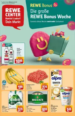 Vorschau von dem Prospekt des Geschäftes Rewe, gültig ab dem 13.10.2025