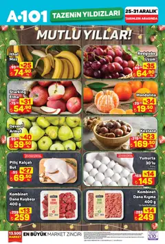 A101 Tazenin Yıldızları 25.12.2025 - Broşürünün önizlemesi