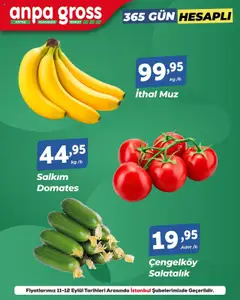 Anpa Gross Katalog 11.09.2025 - Broşürünün önizlemesi