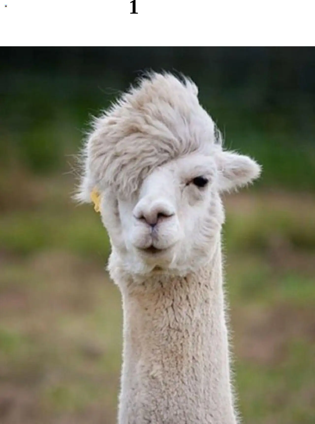 Náhľad Atest, s.r.o. letáku platného od 02.06.2025