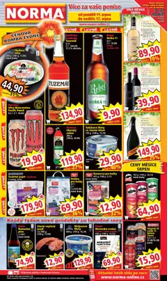 Náhled nabídky: Norma Leták platný od 11.08.2025