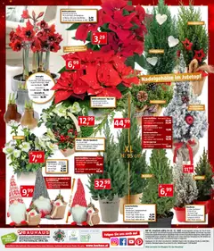 Vorschau der Angebote: Bauhaus Prospekt gültig ab 05.11.2025 | Seite: 24