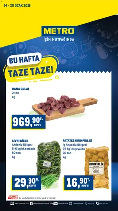 Metro Katalog 14.01.2026 - Broşürünün önizlemesi